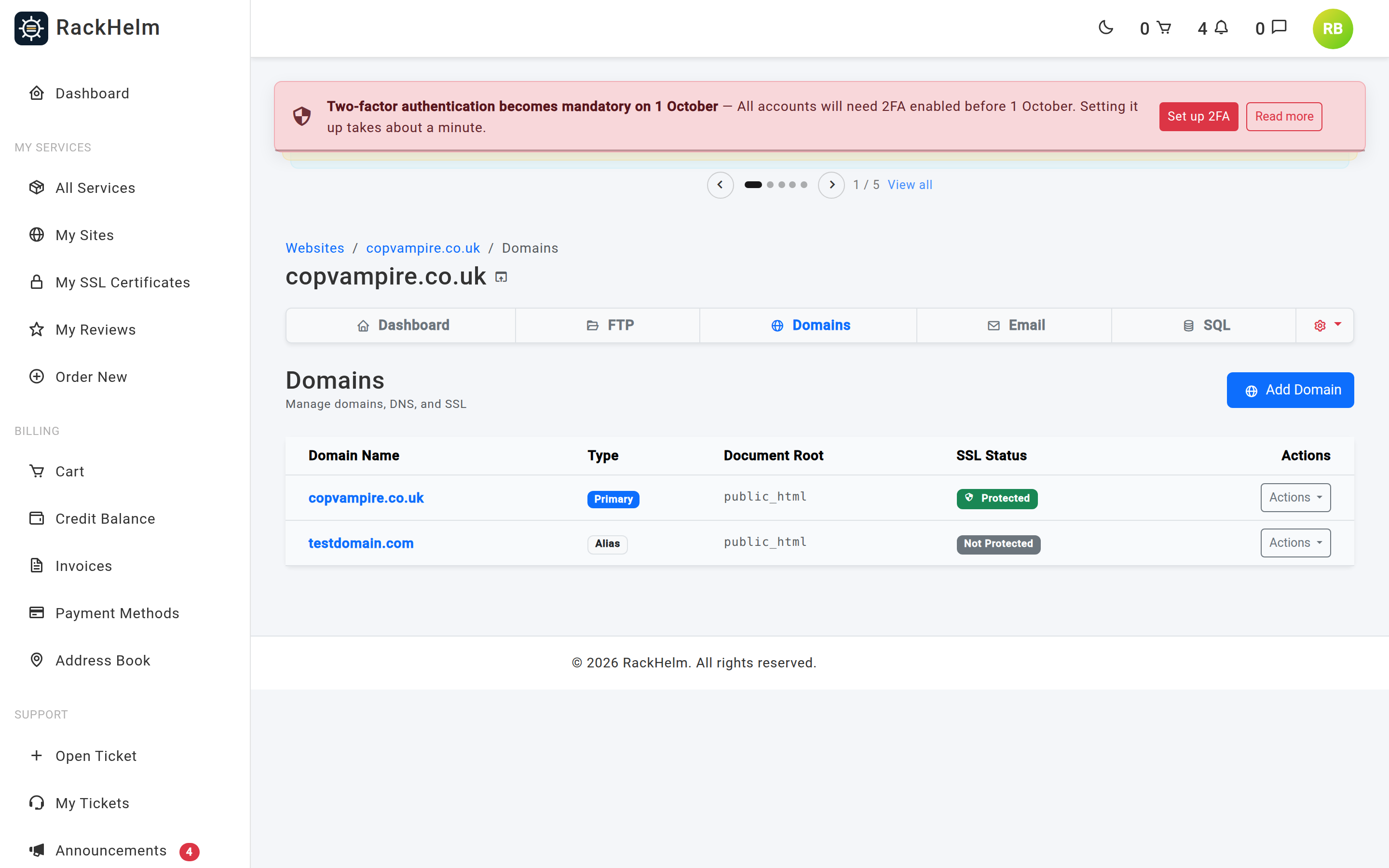The site Domains list with type badges, document roots and SSL status